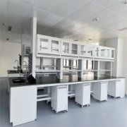 全钢实验台工作台实验室中央操作台钢木实验桌实心理化板试验台